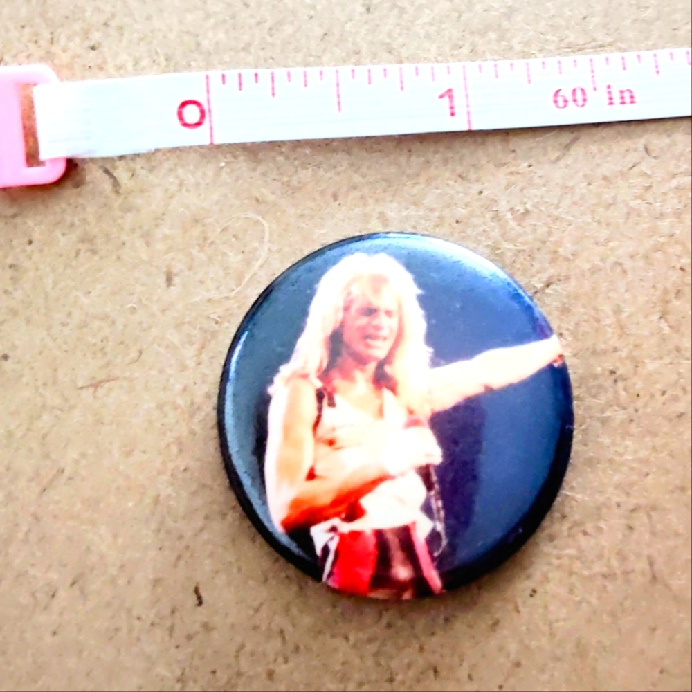 Vintage David Lee Roth Pin - Picture 3 of 3